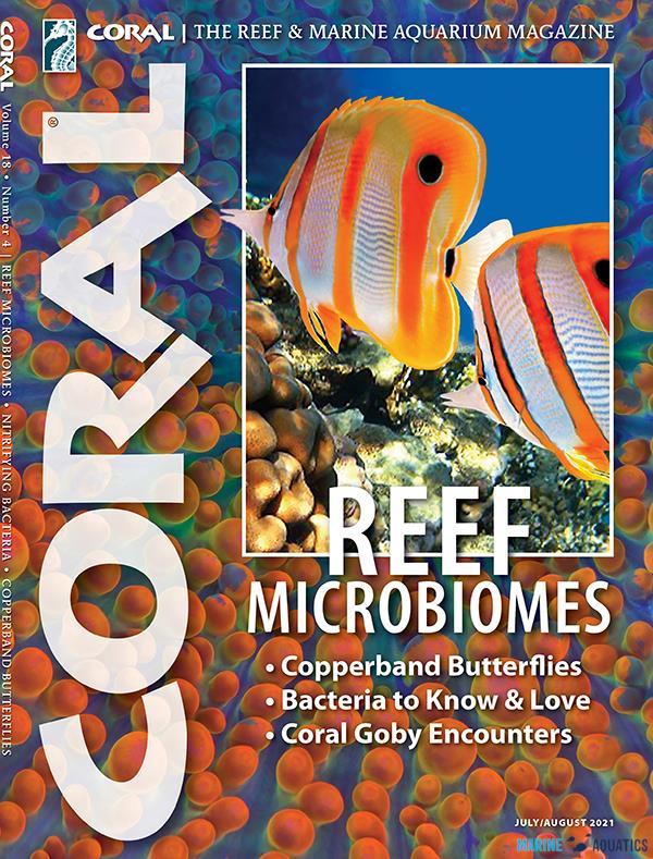 CORAL - Reef Microbiomes (JUL-AUG´21)
