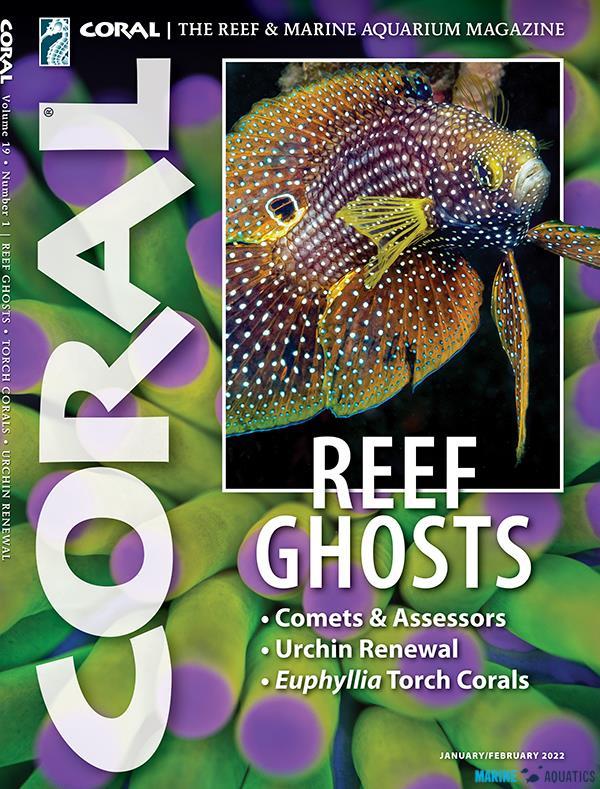 CORAL - Reef Ghosts (JAN-FEB22)