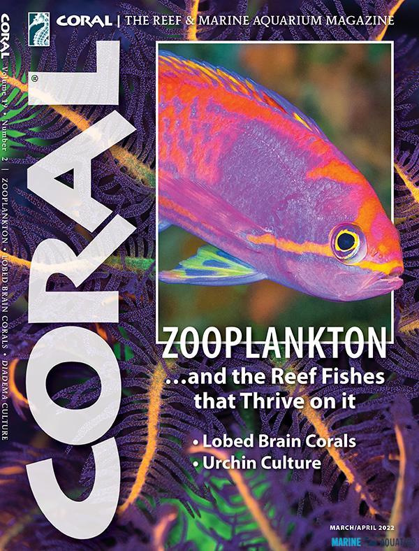 CORAL - Zooplankton (MAR-APR22)