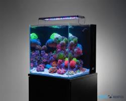 AF NANO tank + LED osvětlení a Startovací sada (91L)