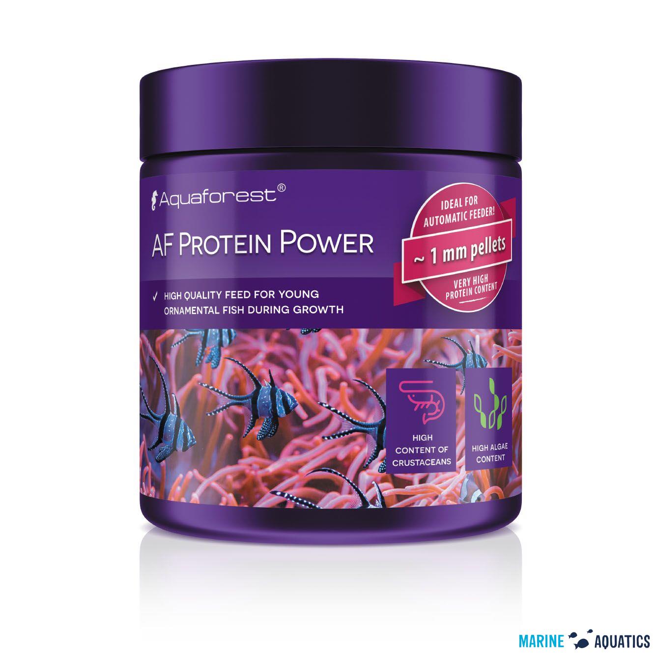 AF Protein Power - krmivo s proteinem a spirulinou pro mladé ryby, 120g