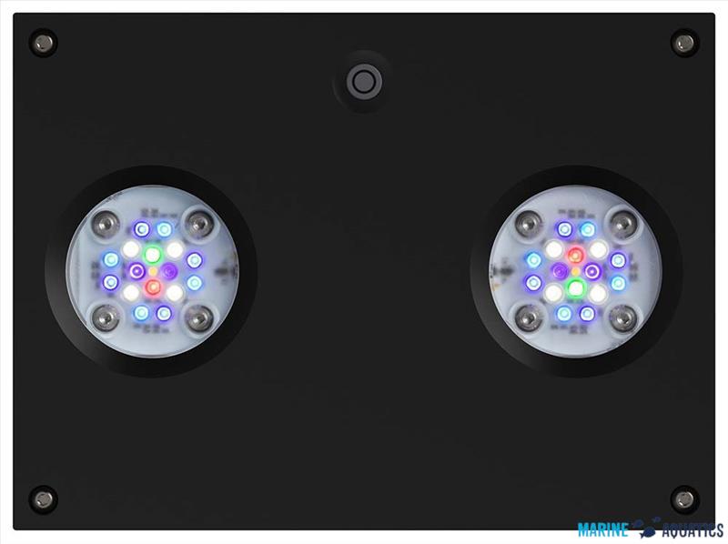 AI Hydra 32HD - 32-LED aquarium lighting, black (~90W)