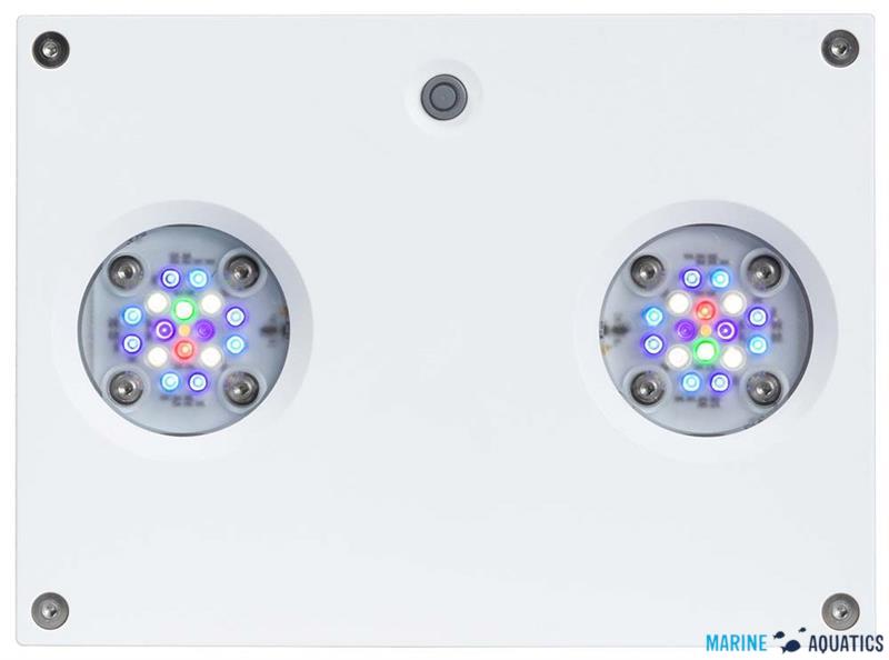 AI Hydra 32FW - sladkovodní 32-LED osvětlení, bílá (~90W)