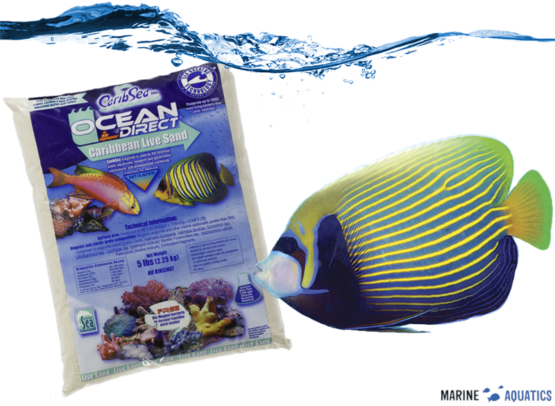 CaribSea Ocean Direct -  živý písek (2,25kg)