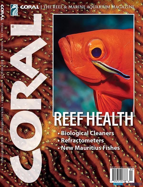 CORAL magazine - 