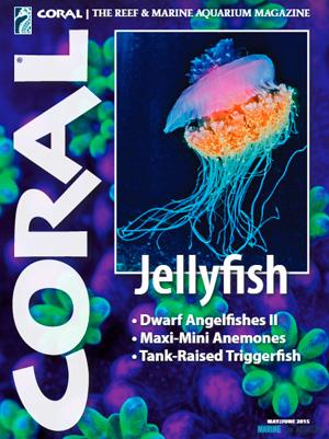 Časopis CORAL - 