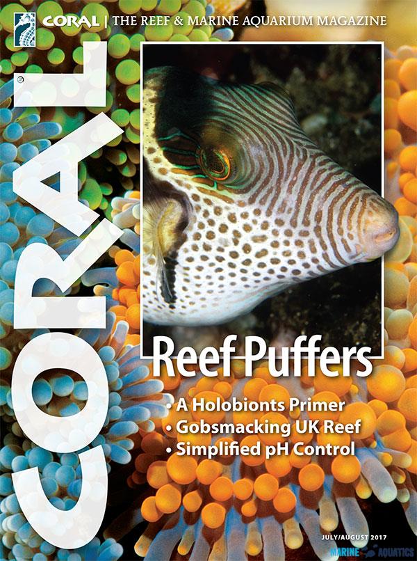 Časopis CORAL - Reef Puffers - 