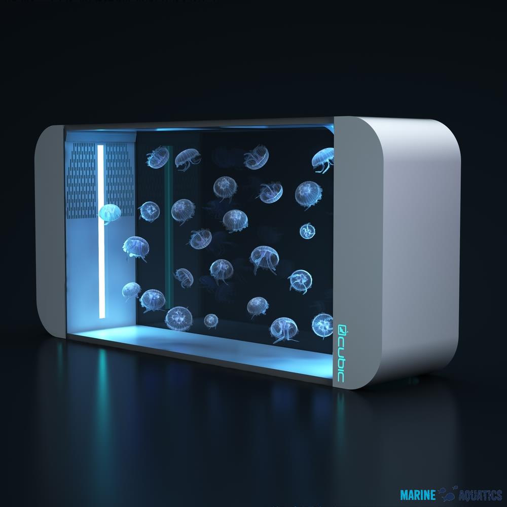CUBIC Pulse160 - flagship aquarium for jellyfish, white (174 liters)