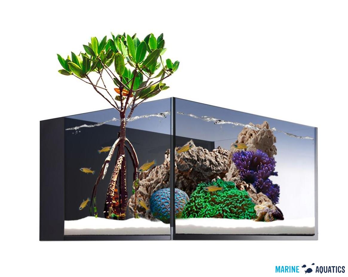 Nuvo Fusion LAGOON 50 - aquarium + pump (190 L)