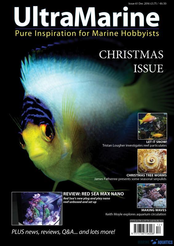 UltraMarine no.61 - Xmas issue (12´16-01´17)