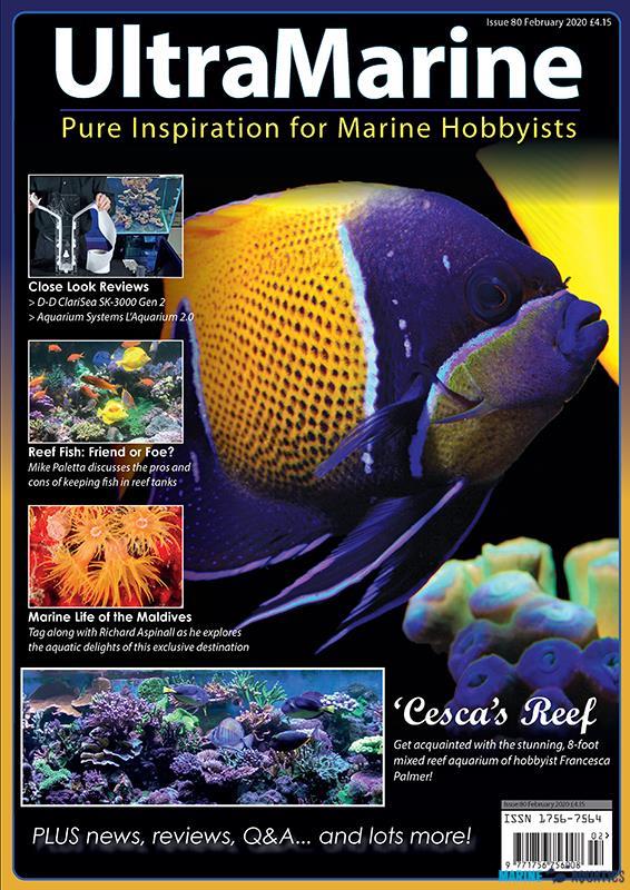 UltraMarine no.80 - časopis pro mořské akvaristy (FEB-MAR´20)