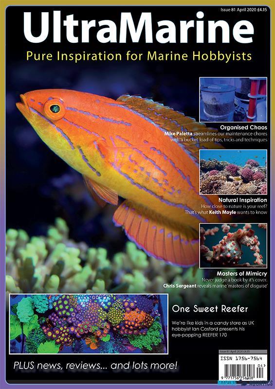 UltraMarine no.81 - časopis pro mořské akvaristy (APR-MAY´20)