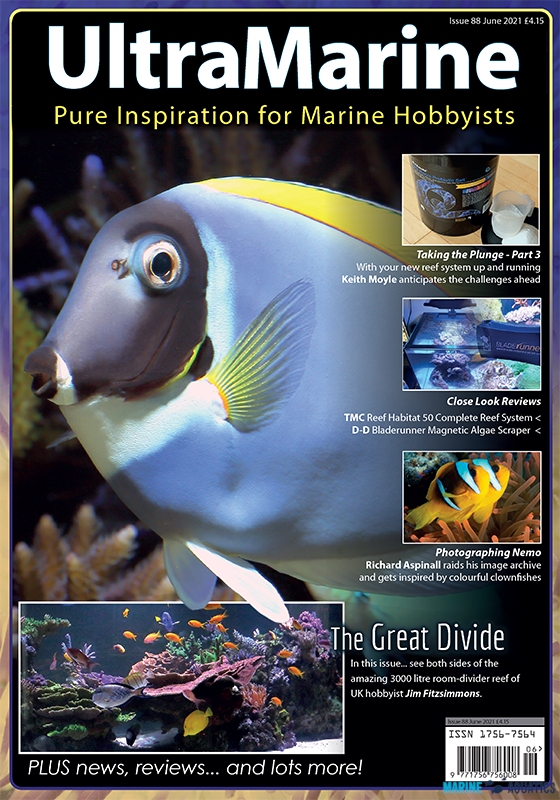 UltraMarine no.88 (JUN´21)