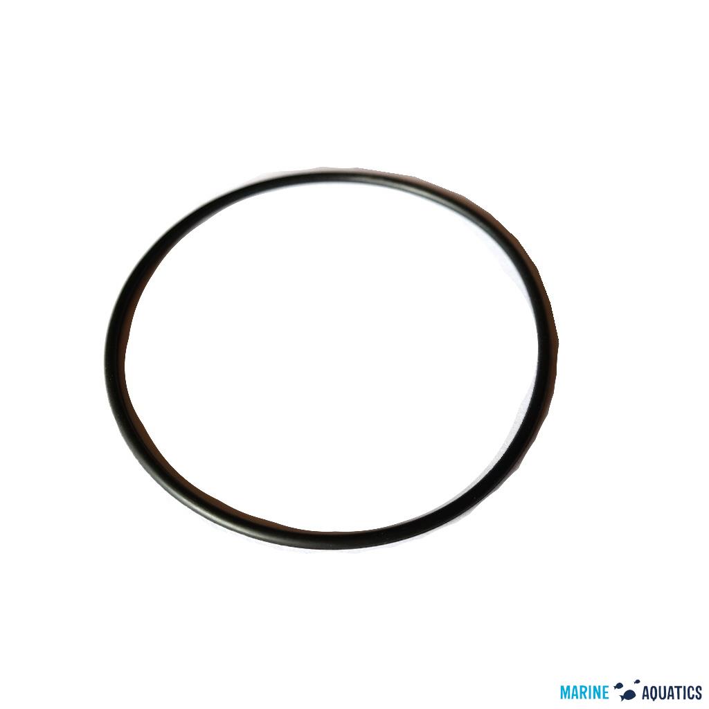 PhosBan R550 O-Ring (spare part)