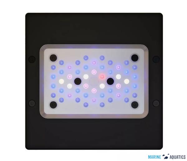 Radion XR15 G6 BLUE - akv.osvětlení s 50LED
