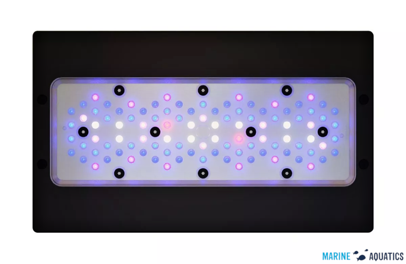 Radion XR30 G6 BLUE - akv.osvětlení se 100LED