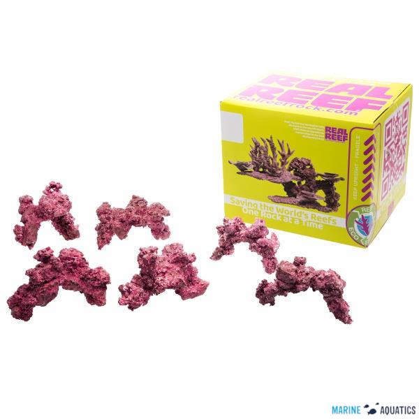 Real Reef Arches - M size, 4ks