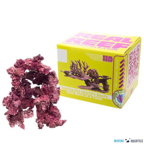 Real Reef Arches - L size, 4ks