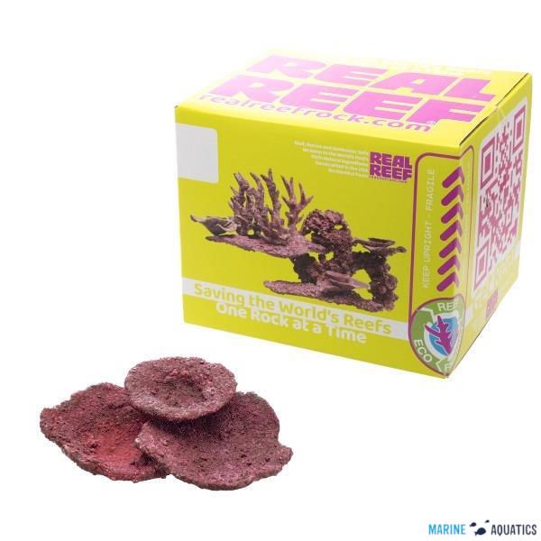 Real Reef Mini Plate Corals - 10ks