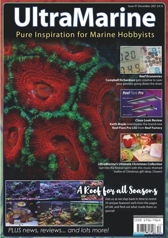 UltraMarine no.91 (DEC´21)