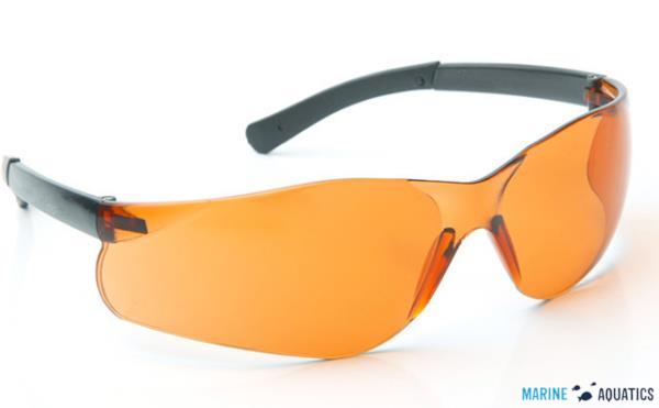 US Style Coral glasses