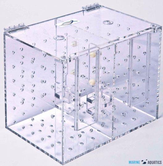 Acclimation tank DUAL