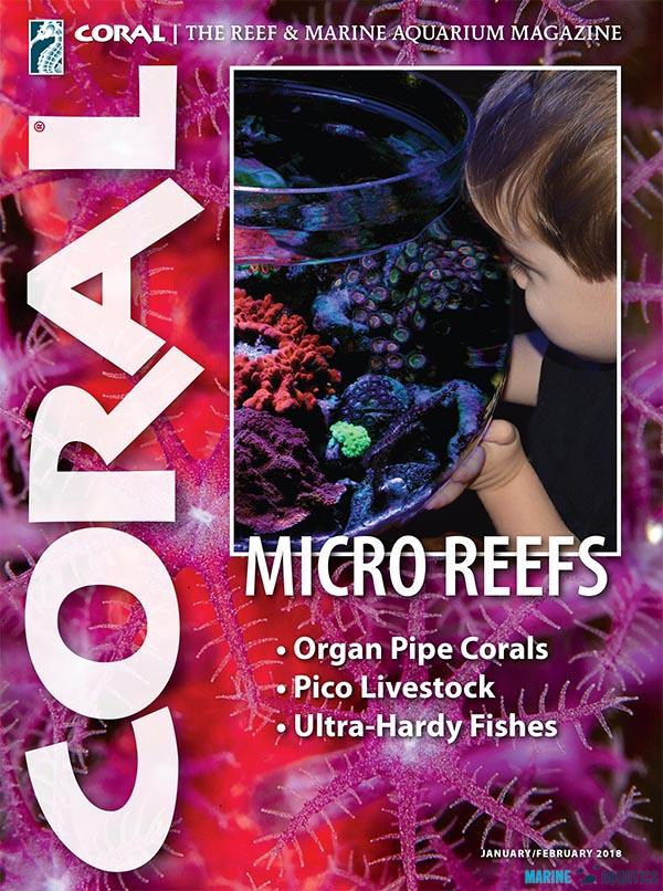CORAL magazine - Micro Reefs (JAN-FEB18)