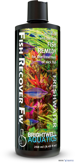 Fish Recover FW - treatment of bacterial infections (250ml)