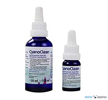 KZ Cyano Clean - against cyano (50ml)