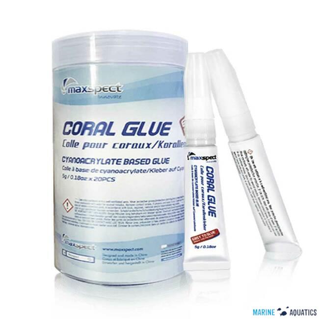 Maxspect Coral Glue stick (20 x 5g)
