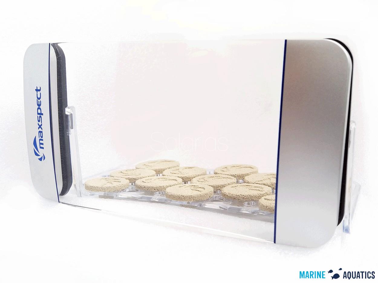 Maxspect Fragnifier - multipurpose coral magnifier