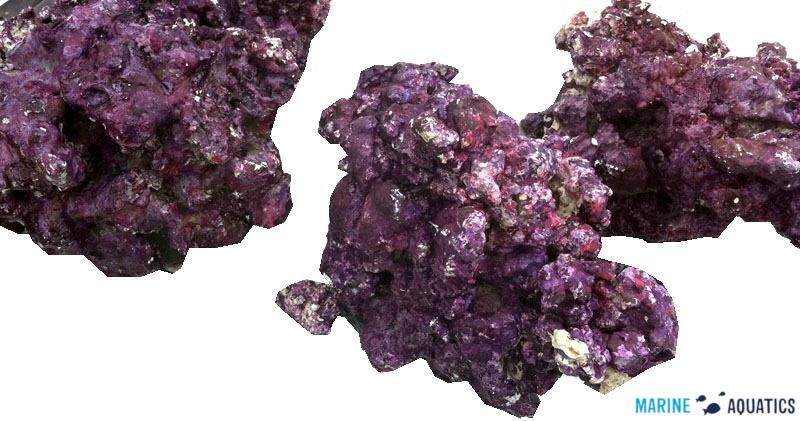 Real Reef Rocks 4G - mixed sizes, 1Kg