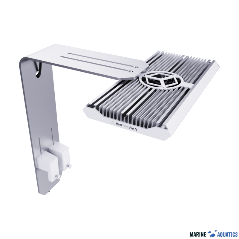 Reef Flare Pro ARM M/L (white)