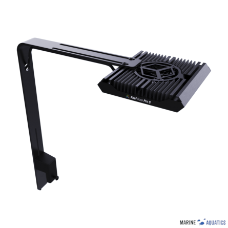 Reef Flare Pro ARM S (black)