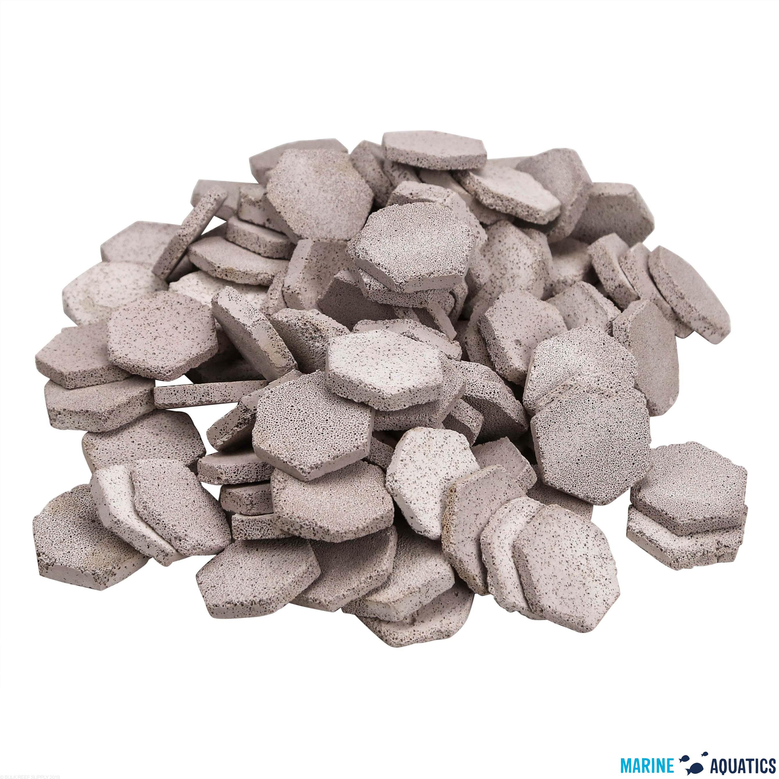 HEXI DISC - podložky pro korálové fragy (100ks)